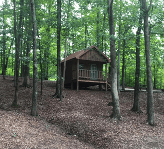 Cabin
